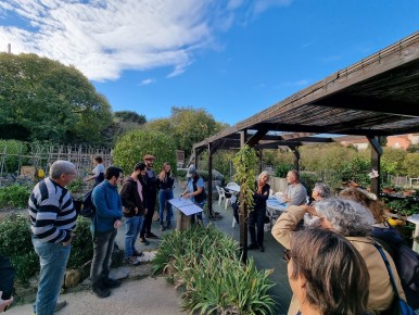 Photo prise lors de la visite du Jardin Denat à Collioure